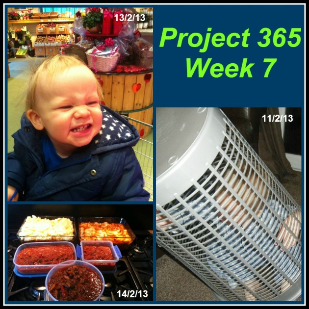 project 365 wk7